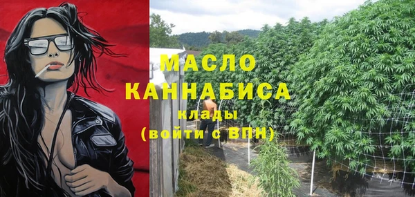первитин Богданович