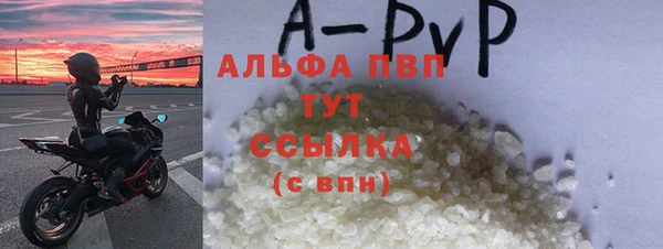 стаф Бородино