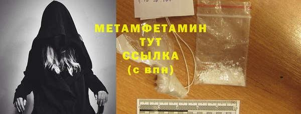 индика Богородицк