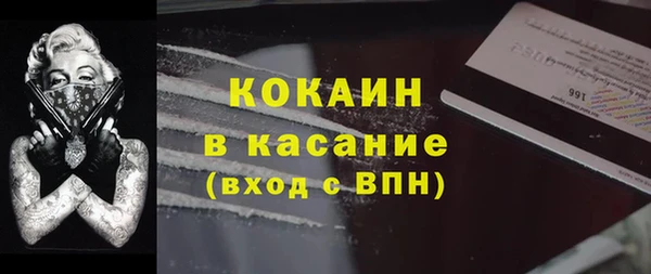 индика Богородицк