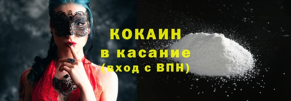 стаф Бородино