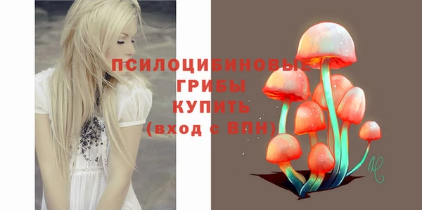 дмт Бронницы