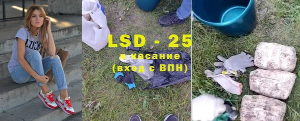 стаф Бородино