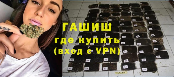 стаф Бородино