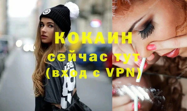 стаф Бородино