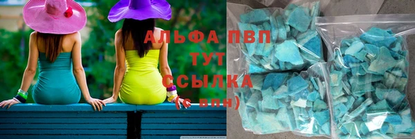 индика Богородицк