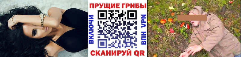 Псилоцибиновые грибы Cubensis купить сайты Ялуторовск